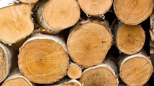 为什么木门有色差？真的是质量问题吗？