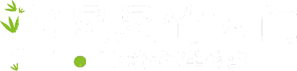 星星竹木门_星星竹全屋定制官网_竹木门厂家_竹木门_木门_护墙板